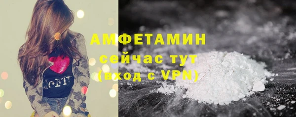 стафф Карпинск
