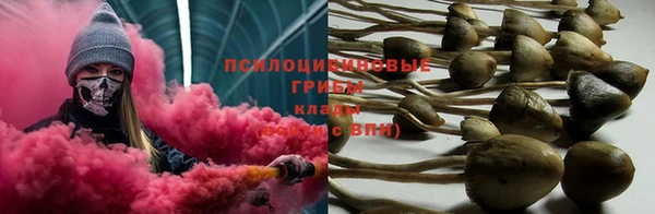 стафф Карпинск