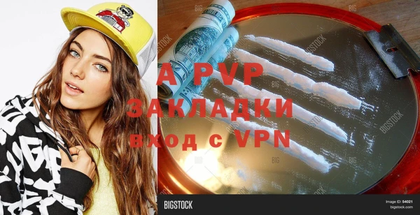 стафф Карпинск