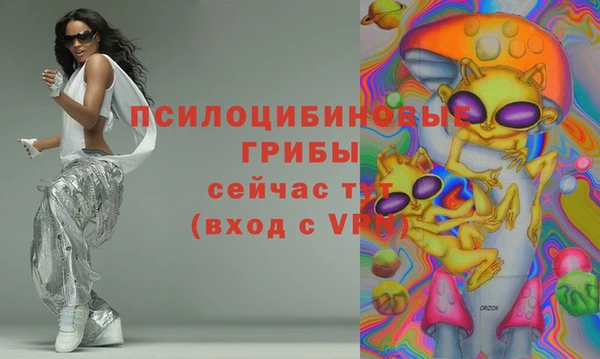 стафф Карпинск
