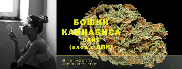 стафф Карпинск