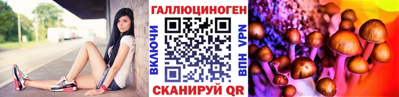 Галлюциногенные грибы GOLDEN TEACHER  Купить закладки  Богородицк 